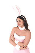 Ariana Van X Voluptuous Pink Bunny istripper model